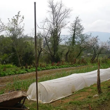 דירה Agriturismo Le Calle *